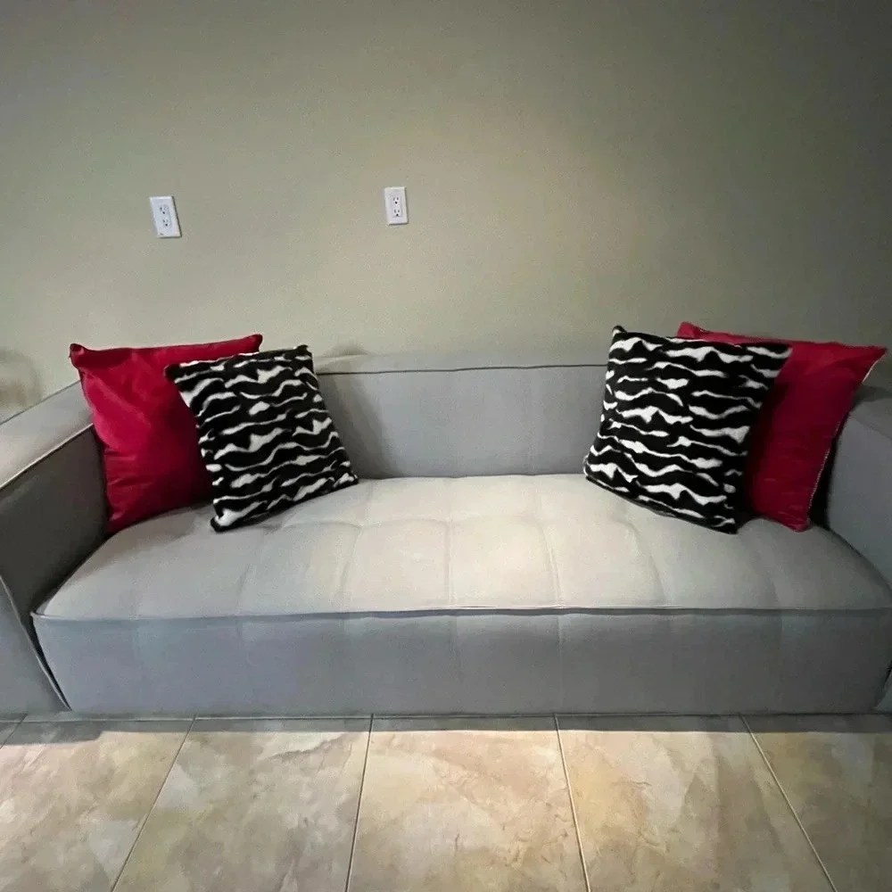 Set of 2 decorative zebra print pilllows